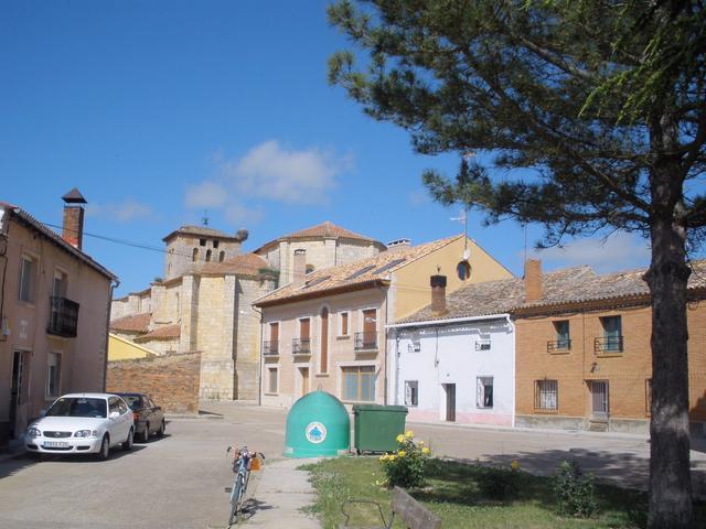 PIÑA DE CAMPOS